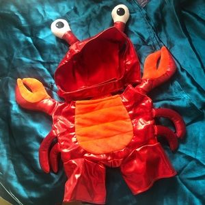 NWOT Lobster Dog Costume